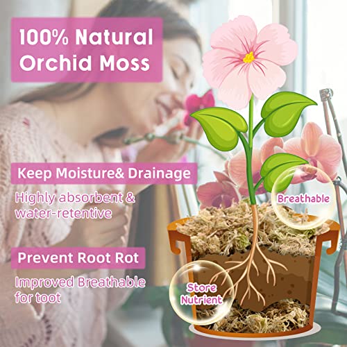 Legigo 10OZ Premium Sphagnum Moss for Plants 12QT Natural Long Fiber Moss Dried, Plant Moss for Orchid Repotting, Potted Plants, Succulents, Reptiles - color: 12 QT(Appx.10oz)