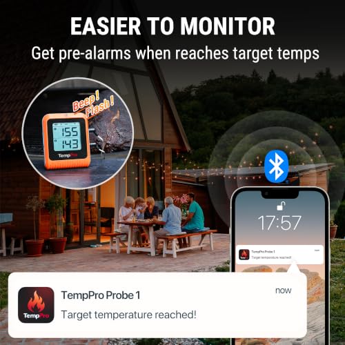 TempPro Wireless Meat Thermometer Digital for Grilling and Smoking, 2 Probes Bluetooth Meat Thermometer for Cooking Turkey Fish Beef, Rechargeable Smoker Accessories for BBQ Oven Gift for Dad - style: 2 Probes