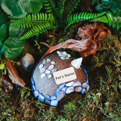Reptile Hideouts, Handmade Handmade Reptile Home, Hide Cave for Crested Gecko, Leopard Gecko, Lizard, Snake, Crabs Hide Cave, Personalized Terrarium & Vivarium Décor(Conch) - style: Conch