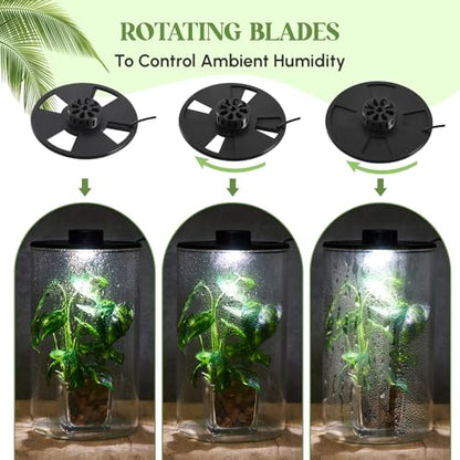 Maxdot Glass Plant Terrarium Kit with LED Grow Light, Desk Terrarium for Venus Fly Trap, Succulents, Moss & Miniature Garden, Borosilicate Glass Desktop Planter for Home Office(9.8 x 5.9 Inch) - size: 9.8 x 5.9 Inch