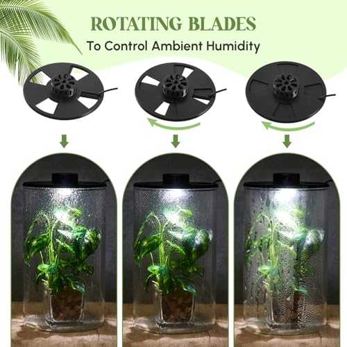 Maxdot Glass Plant Terrarium Kit with LED Grow Light, Desk Terrarium for Venus Fly Trap, Succulents, Moss & Miniature Garden, Borosilicate Glass Desktop Planter for Home Office(9.8 x 5.9 Inch) - size: 9.8 x 5.9 Inch