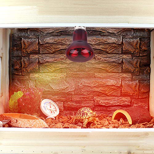 25W Infrared Heat Lamp Bulb E26 Base Red Basking Spot Light for Reptile Terrarium, Non-Disruptive Night Heater for Bearded Dragons Snake Turtle and Amphibian 2 Pack