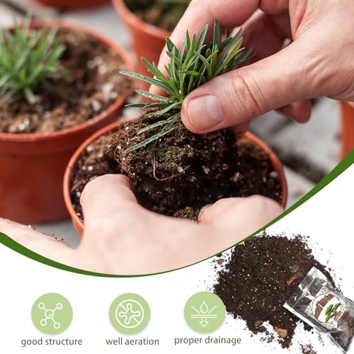 Doter Bonsai Soil Mix 4qt Ready to Use, Organic Bonsai Tree Soil Fits for Small Bonsai Pot, Suitable for Bonsai Seedling, Repotting, or Bonsai Starter Kit - size: 4qt