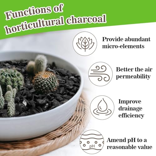 RAINFLOW Horticultural Charcoal for Plants - 290G Natural Earth Regulated Supplement for Potting Soil Indoor Plants, 3-5mm Succulent Soil, Organic Biochar, Paphiopedilum, Bonsai