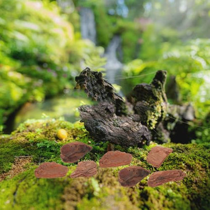 Reptile Tank Bark Chips Bedding 3-5cm Natural Tree Bark Terrarium Decor for Turtle Lizard Enclosure Pet Tank Substrate
