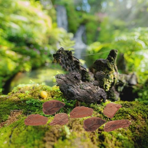 Reptile Bark Chips Bedding 3-5cm Natural Tree Bark Chips for Terrarium Decor and Turtle Habitat Substrate Pet Supplies