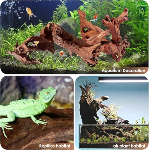 Jorewood Natural Large Aquarium Driftwood for Fish Tanks & Reptile Terrariums – 100% Safe Fish Tank Decorations, 2-Piece 10-14 Inch Unique Twisted Branches Low Tannin, Easy to Sink - size: Mopani Driftwood 10 to 14 Inch (Pack of 2)