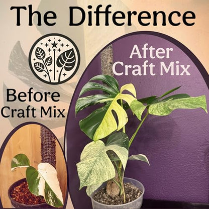 Craft Aroid Potting Mix- Elite Organic Alocasia, Philodendron, Monstera Soil Mix, Chunky, Well Draining Potting Soil for Indoor Plants, All Tropical Plants & Houseplants, Sustainable & Peat Free 1QT - size: 1 Quart