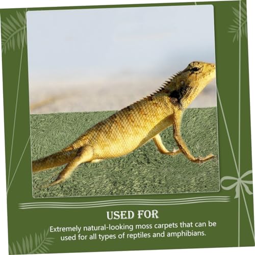 POPETPOP Fake Lawn Mat for Reptiles and Pets Washable Terrarium Liner Absorbent and Breathable Moss Carpet for Bearded Dragon Iguana Mat Accessory
