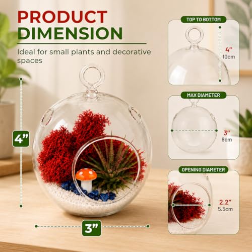 Creations by Nathalie - DIY Terrarium Kit with Live Air Plant (Local & Fresh from Florida), Reindeer Moss, Figurine, Healing Crystal Chips and Sand - Handmade in USA (4" Glass Globe) - color: 4" Glass Globe