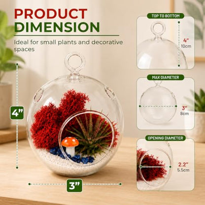 Creations by Nathalie - DIY Terrarium Kit with Live Air Plant (Local & Fresh from Florida), Reindeer Moss, Figurine, Healing Crystal Chips and Sand - Handmade in USA (4" Glass Globe) - color: 4" Glass Globe
