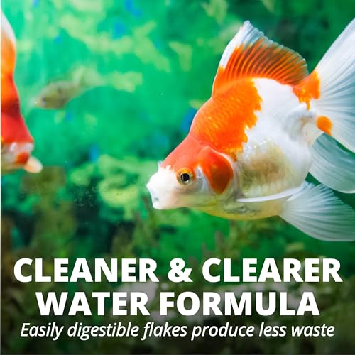 Tetra Goldfish Flakes, Nutritionally Balanced Diet For Aquarium Fish, Vitamin C Enriched Flakes, 1 oz - size: 1 Ounce (Pack of 1)
