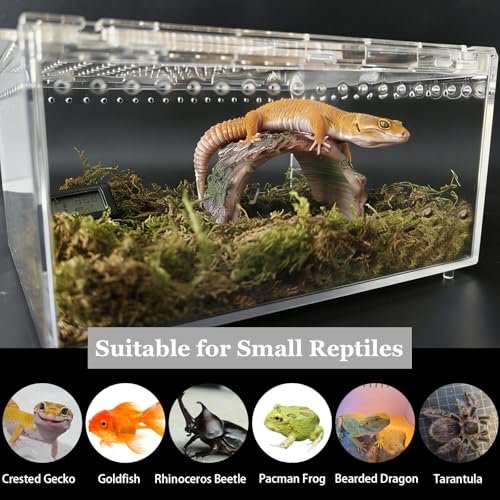 Reptile Terrarium 7.9"x 5.9" x 3.9" Small Gecko Tank Acrylic Snail Terrarium Hermit Crab Tank Spider Enclosure for Scorpion Insect Isopods Invertebrates