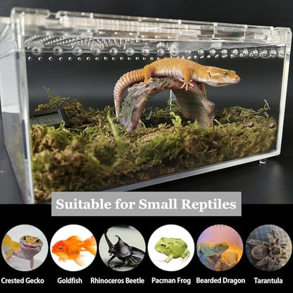Reptile Terrarium 7.9"x 5.9" x 3.9" Small Gecko Tank Acrylic Snail Terrarium Hermit Crab Tank Spider Enclosure for Scorpion Insect Isopods Invertebrates