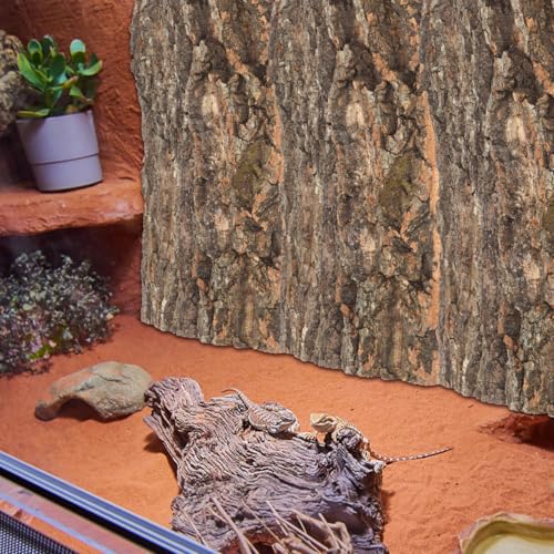 IMIKEYA 2 Pcs Natural Cork Bark Platform, Reptile Climbing and Basking Decor for Lizards, Geckos, Turtles, Spiders, Hamsters and Terrariums