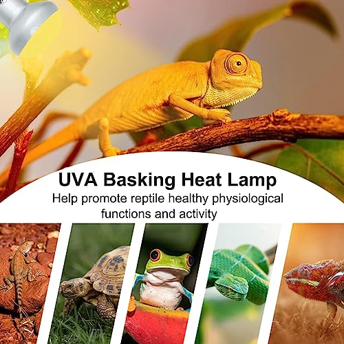Vinaco G9 Heat Lamp Bulbs for Reptile, Dimmable Night Red UVA UVB Reptile Heat Lamp G9, 2 Pin Base Mini G 9 Halogen Bulbs 50W 120V, Infrared Heat Lamp for Bearded Dragon Gecko Turtle Lizard - style: 50W- 5 Pack