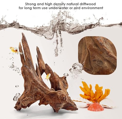 Jorewood Natural Small Aquarium Driftwood for Fish Tanks & Reptile Terrariums – 100% Safe Fish Tank Decorations, Unique Twisted Branches 5-Piece 4-8 Inch Low Tannin, Easy to Sink - size: Mopani Driftwood 4 to 8 Inch (Pack of 5)