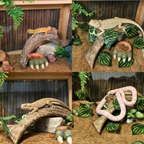 Tfwadmx Reptile Branches, Natural Reptile Corner Climbing Branch, Snake Climbing Branch Chameleon Cage Accessories Terrarium Plant Decoration for Gecko Snake Bearded Dragon (13 Inch)