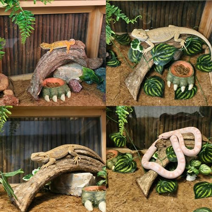 Tfwadmx Reptile Branches, Natural Reptile Corner Climbing Branch, Snake Climbing Branch Chameleon Cage Accessories Terrarium Plant Decoration for Gecko Snake Bearded Dragon (13 Inch)