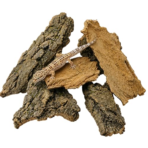 5PCS Cork Bark for Reptiles, Five Pieces Habitat Decor, Reptile Enclosure Bark Pieces, Ideal for Climbing and Hiding