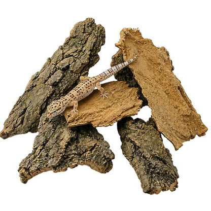 5PCS Cork Bark for Reptiles, Five Pieces Habitat Decor, Reptile Enclosure Bark Pieces, Ideal for Climbing and Hiding