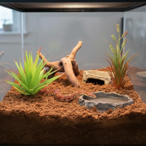 JIHAQUA Reptile Terrarium Decor 2-Piece Realistic Succulent Set,Lifelike Plastic Plants for Geckos, Bearded Dragons,Snakes,Turtles,Lizards,Insects Reptile Habitats