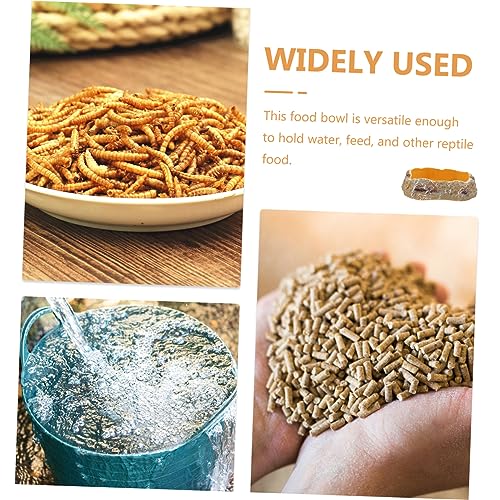 Reptile Water Feeder Durable Pet Drinking Tool for Lizards Geckos Animals Easy to Unique Design for Feeding Hydration Needs