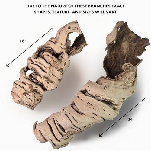 Koyal Wholesale 18" Hollow Grapevine Wood Branches for Decor, Untreated Natural Dried Grapewood Branches, Large Rustic Wood for Centerpieces, Terrariums, Reptile Habitats, Crafts - size: 18 Inches