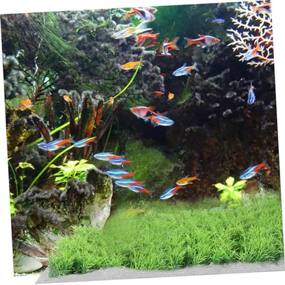 LIOOBO 10Pcs Stainless Steel Mesh Pad for Aquarium Planting Rust-Free Water Grass Fixing Net Sturdy Fish Tank Mesh for Aquatic Plants