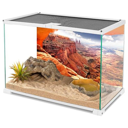 AWERT Stone Reptile Habitat Background Sky Oasis Mountain Cactus Sun and Desert Terrarium Background 36x24 inches Polyester Background - size: 36x24in/90x60cm