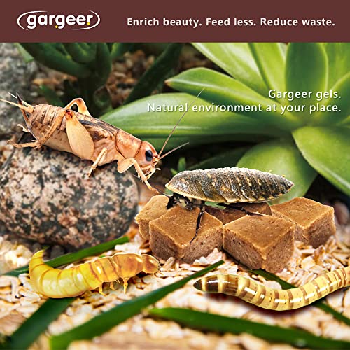 Gargeer Bugs and Insects Food. Complete Gel Diet for Roaches, Crickets, Worms, Dubia, Fly, etc. Made in The USA, Using Premium Nutritional Ingredients. 8oz Powder Turns into 2 Pound of Ready Food.… - size: 8 Ounce (Pack of 1)