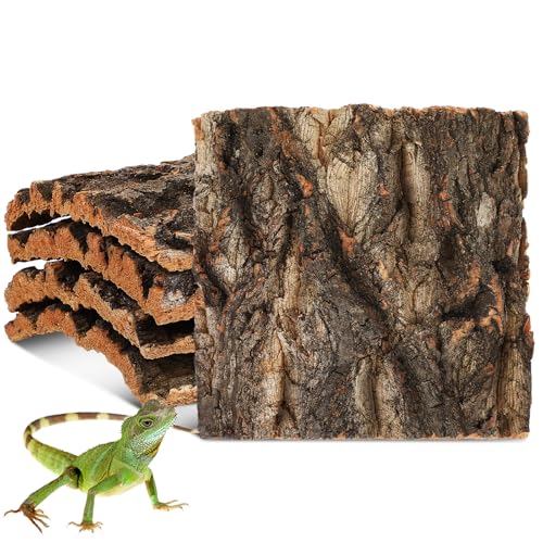 Toddmomy 5pcs Cork Bark Background for Reptile Tank - Tree Bark Cork Hide for Terrarium - Aquarium Reptile Tank Decor Accessories for Bearded Dragon Lizard