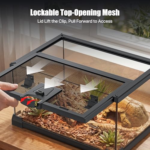 2.5 Gallon Fully Assembled Glass Reptile Enclosure, 12" x 8" x 6" | Small Reptile Terrarium Tank for Tiny Terrestrial Reptiles, Amphibians & Invertebrates - size: 12"L x 8"W x 6"H