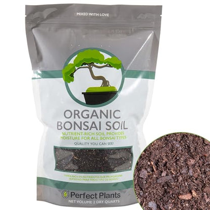 Bonsai Soil by Perfect Plants - 2qts. | Premium All-Purpose Mix Bonsai Tree Varieties - size: 2qts.