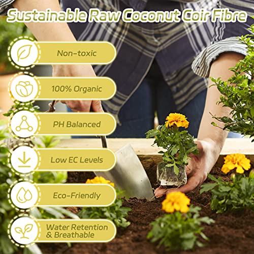 Legigo Pack of 1 Organic Coco Coir Bricks- 100% Natural Compressed Coco Peat Brick Coconut Fiber Substrate with Low EC& pH Balance, Coir Plant Soil Enhance Root Growth for Herbs, Flowers, House Plants - color: Pack of 1