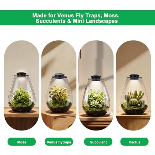 Glass Plant Terrarium with LED Grow Light, 7.8" Borosilicate Terrarium with Adjustable Ventilation & Timer, for Venus Fly Trap, Moss, Succulents, Mini Landscape, Desk Decor for Home Office