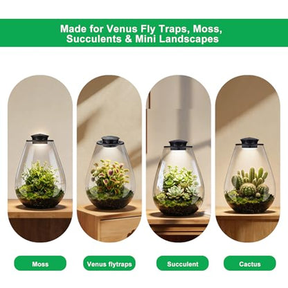 Glass Plant Terrarium with LED Grow Light, 7.8" Borosilicate Terrarium with Adjustable Ventilation & Timer, for Venus Fly Trap, Moss, Succulents, Mini Landscape, Desk Decor for Home Office