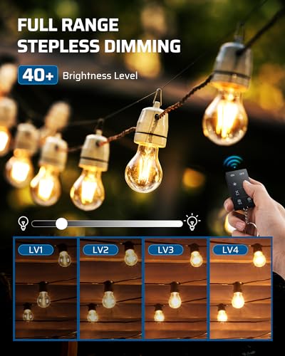 DEWENWILS Outdoor Dimmer for String Lights, 100FT Remote Range, IP44 Waterproof Plug-in Dimmer for Garden, Patio, Porch, 4 Level Brightness Button, Max 150W Dimmable LED/300W Tungsten Bulbs - size: Dimmer with 1 outlet