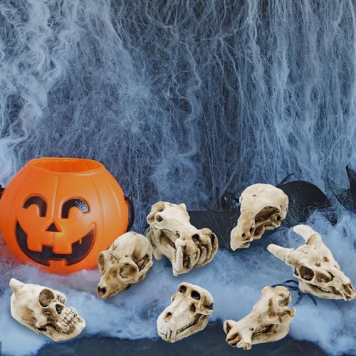 14 Pcs 1.5 Inch Mini Resin Animal Skull Heads Miniature Animal Skull Figurines Mini Halloween Skulls Mini Skull Figurine Miniature Skulls for Crafts Halloween Christmas Micro Landscape Decor
