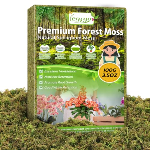 Legigo 3.5 OZ Green Moss for Plants Indoor, Crafts Moss for Artificial Plants, Decorative Dried Moss Forest Moss for Fake Potted Plants, Fairy Garden, Table Centerpieces and Terrarium Decor - color: 3.5 OZ