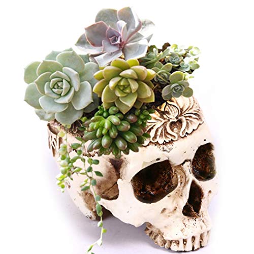 Simcat Skull Planter, Resin Succulents Pot Carved Skull Flower Pot Gothic Planter Halloween Candy Bowl Antique and Distressed Design Skeleton Decor for Home Office