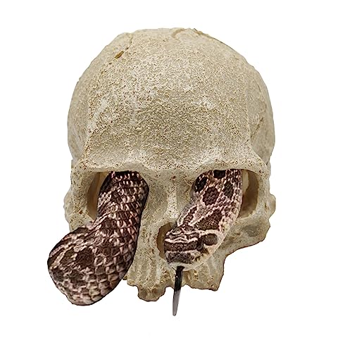 Snake Hideout, Reptile Aquarium Skull Decor, Resin Skeleton Head Fish Hide, Tank Terrarium Accessories, Reptile Hides and Caves for Fish Bearded Dragon Ball Python Leopard Gecko 4.7 × 3.5 × 3.7 Inch - color: White, size: Simulated Human Skull