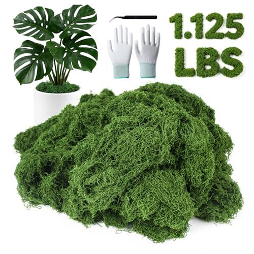 MGLIFEUL 1.125 LBS Artificial Fake Moss for Crafts Plants Indoor with Non-Stick Gloves and Tweezers，Preserved Green Plant Faux Craft Moss Musgo for Fairy Garden Outdoor Home Decorating Model Making - color: Dark Green, size: 1.125 LBS