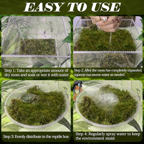 ZeeDix 1.1 lb Premium Sphagnum Moss for Reptiles | 25 qt Green Natural Reptile Moss Bedding, Long Fiber Reptile Moss for Leopards, Geckos, Snakes, Turtles, Frogs - color: 1.1lb