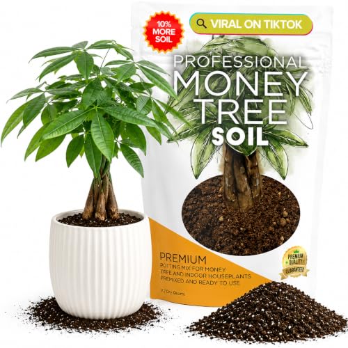 Professional Money Tree Soil Mix Large 2.2 Quarts Ready to Use, Premium Indoor Potting Soil for Money Tree Plants, Peat Moss Coco Coir Perlite Dolomite, Fast Draining Nutrient Rich Blend Made in USA - color: Money Tree Soil, size: 2.2 Quarts