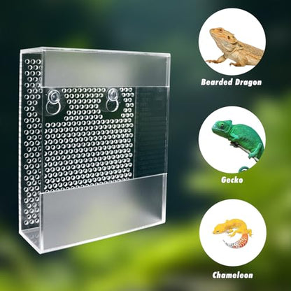 Acrylic Reptile Feeder with Suction Cups, Wall-Mounted Bearded Dragon Food Bowl, Tank Accessories for Bearded Dragon, Gecko, Chameleon, Frog