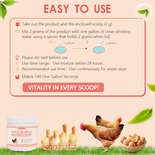 Chicken Electrolyte, Vitamin & Probiotic Supplement - Support Hydration Digestion Immunity Egg Production – Poultry Supplement for Chickens, Ducks, and All Ages of Birds – All-Season Use,10oz Powder