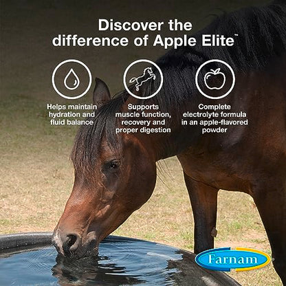 Farnam Apple Elite Horse Electrolytes Powder Supplement, Replaces Vital Minerals, Encourages Hydration, Sugar-Free, Contains Sodium, Potassium, Calcium & Magnesium, Apple Flavored, 5 lb - size: 20 pounds