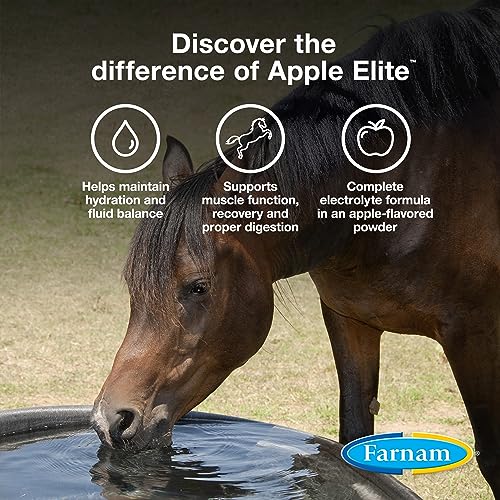 Farnam Apple Elite Horse Electrolytes Powder Supplement, Replaces Vital Minerals, Encourages Hydration, Sugar-Free, Contains Sodium, Potassium, Calcium & Magnesium, Apple Flavored, 5 lb - size: 20 pounds