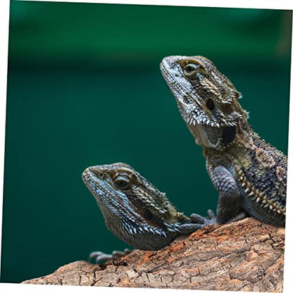 4pcs Cork Bark for Reptiles Natural Tree Bark Decoration for Terrarium Climbing Platform for Snakes Lizards Bearded Dragons and Other Crawling Pets